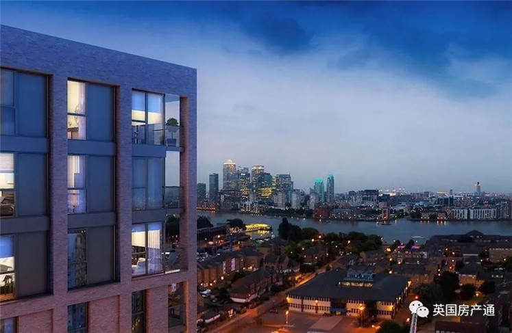 1566548113570970.jpg 2.jpg