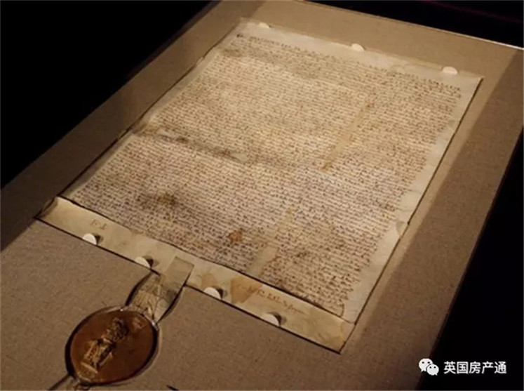 1566977910860845.jpg 9.jpg