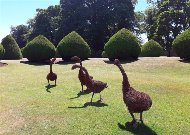 1571193748826205.jpg 3.jpg