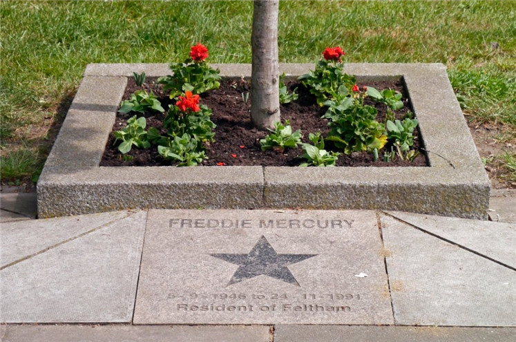 1571194527342701.jpg 3.jpg