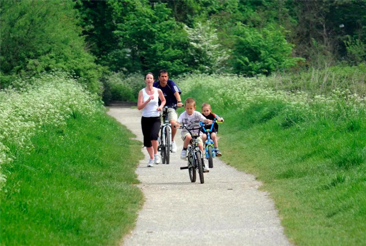 1571194617628017.jpg 6.jpg