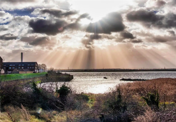 1571195019661582.jpg 14.jpg