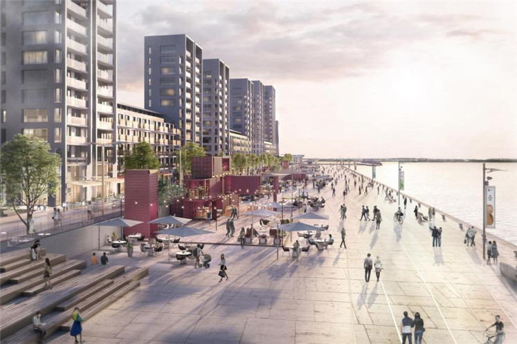 1571195116242107.jpg 19.jpg