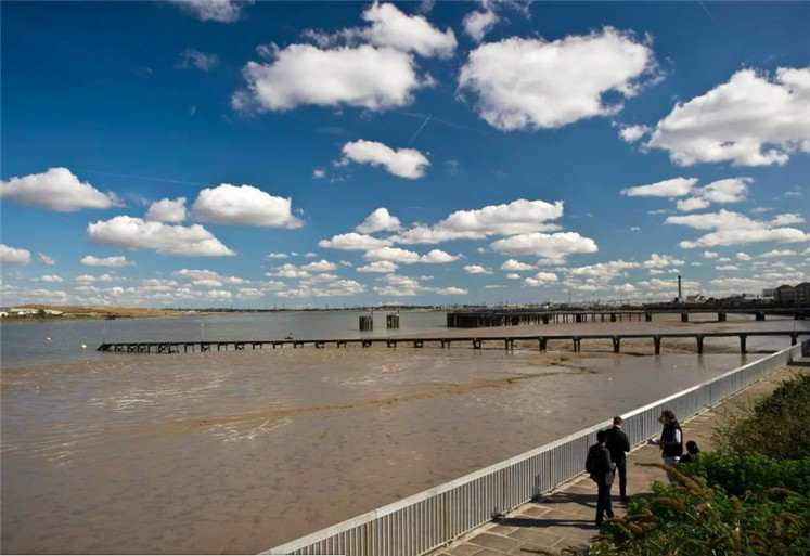 1571195243395825.jpg 23.jpg