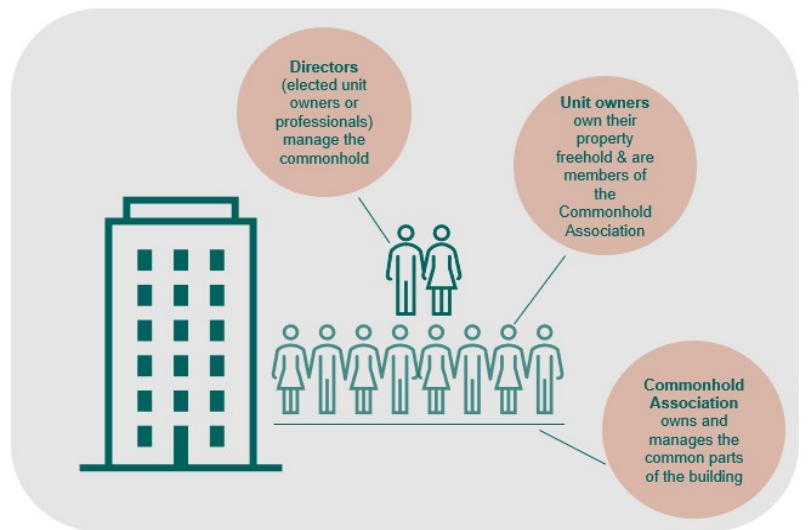 1742187312105574.png 图片1(4).png